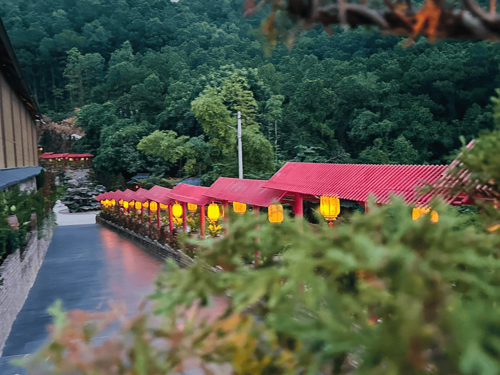 Đường dốc dẫn vào khu nội viện với hàng rào thiết kế theo phong cách Nhật Bản tạo cảm giác thư thái. (Nguồn: Fanpage Chùa Cây Thị)